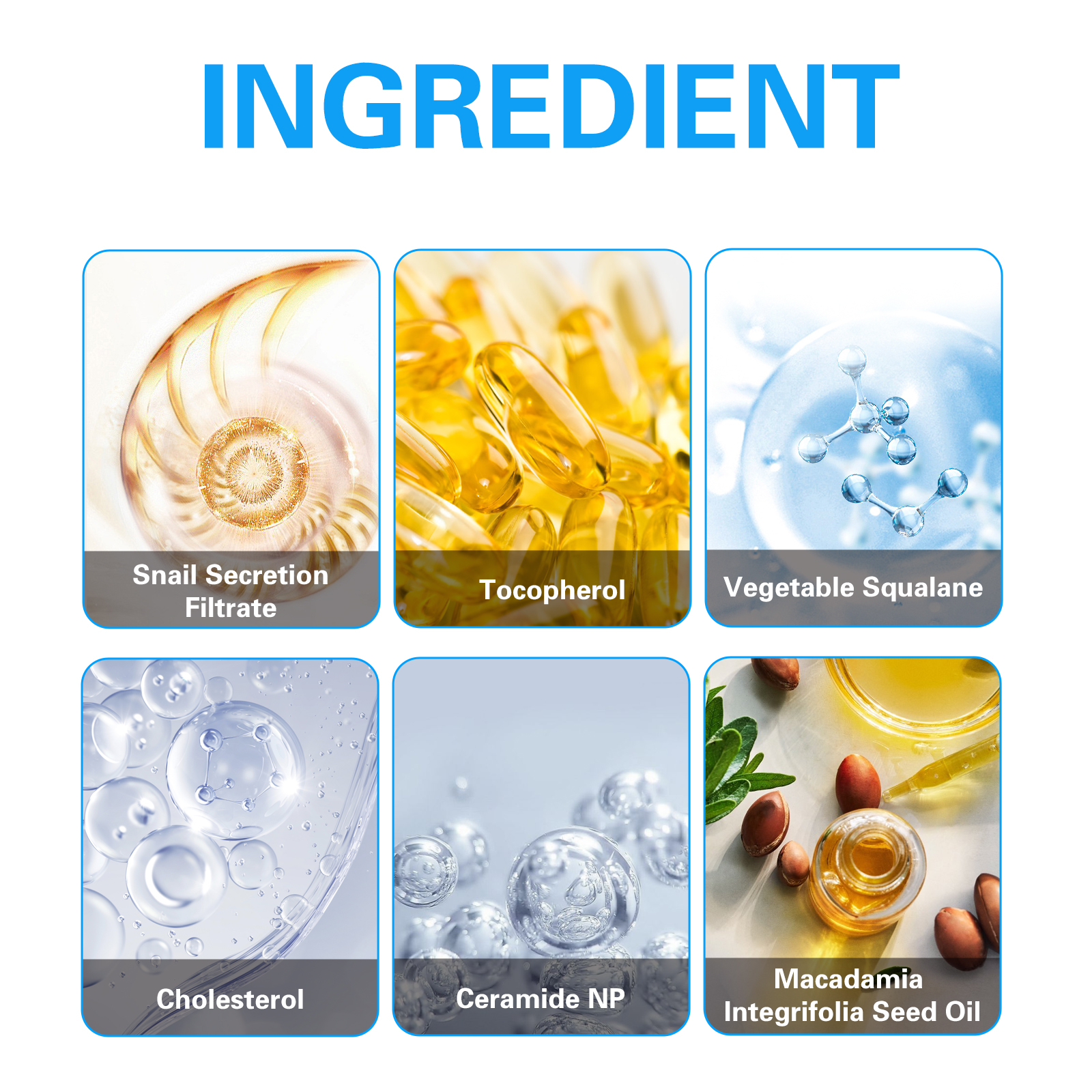 Snail Mucin 92% Moisturizing A - Snail Mucin Essence 리뷰 및 가격