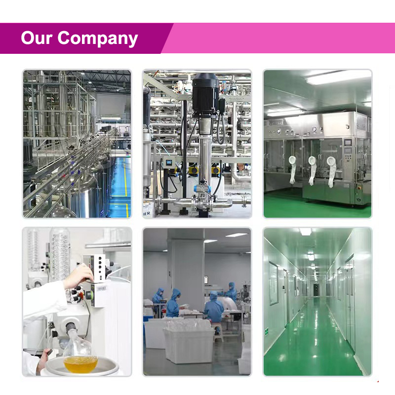 Hot Supply Water Soluble Ceram - Skincare Ingredients 리뷰 및 가격